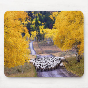 Sheep on Country Road Mouse Mat