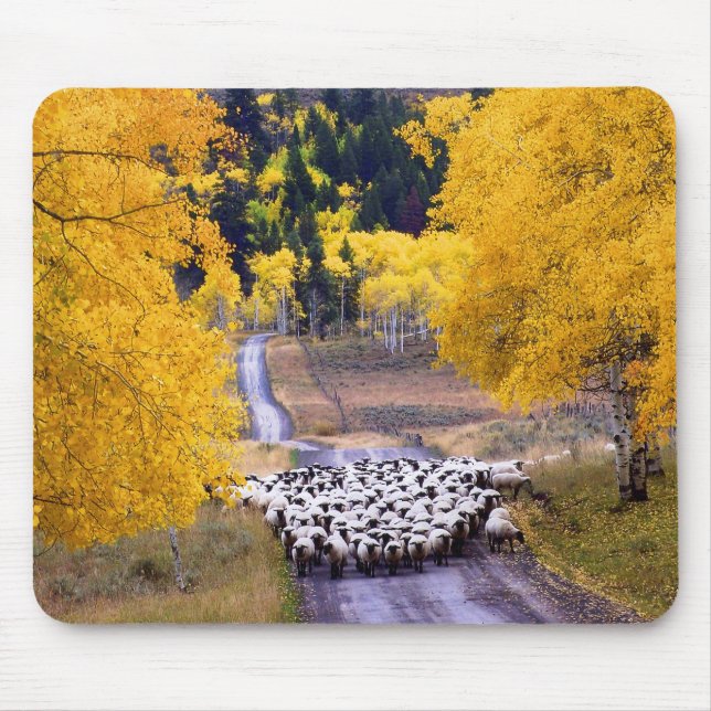 Sheep on Country Road Mouse Mat (Front)