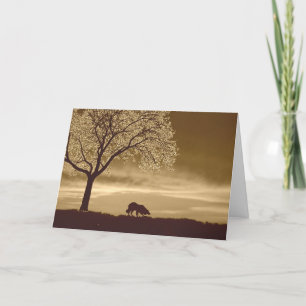 Sheep on the horizon~Border Collie Christmas Holiday Card