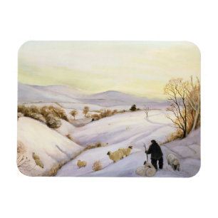 Sheep on the ridge magnet