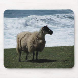 Sheep on wild south Devon coastline Mouse Mat
