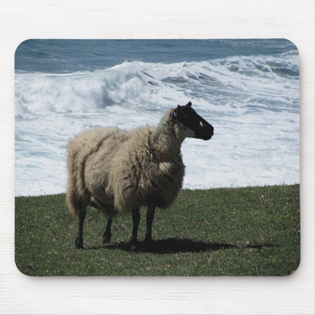 Sheep on wild south Devon coastline Mouse Mat (Front)