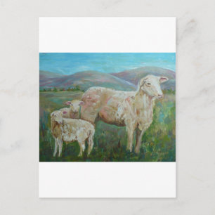 Sheep painting postcard