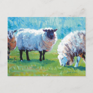 Sheep painting Summer light Postcard