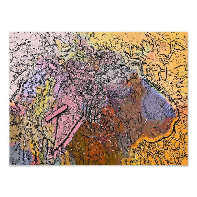 SHEEP PHOTO PRINT (Front)