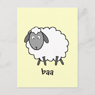 Sheep Postcard