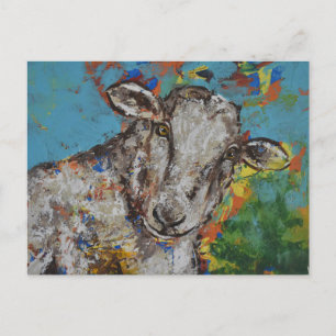 Sheep Postcard
