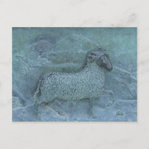 Sheep Postcard