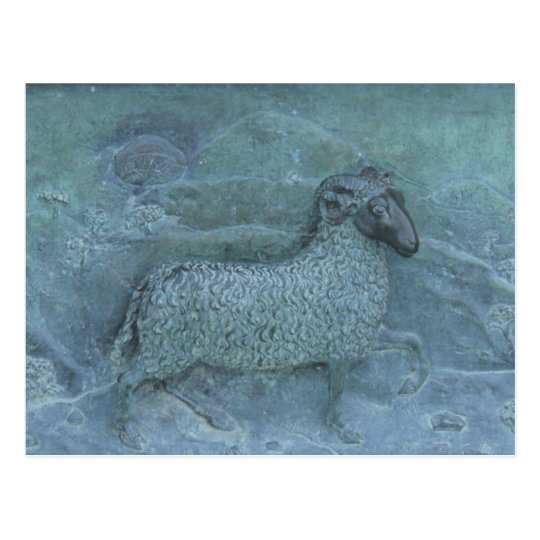 Sheep Postcard