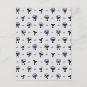 Sheep Postcard