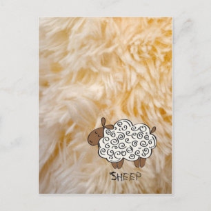 Sheep Postcard
