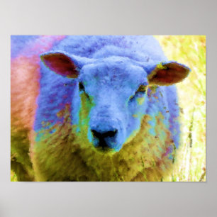 SHEEP POSTER