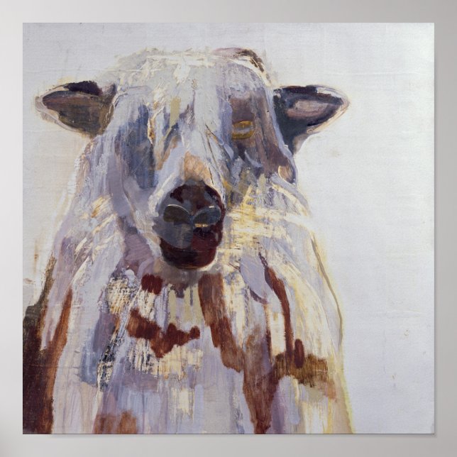 Sheep Poster (Front)