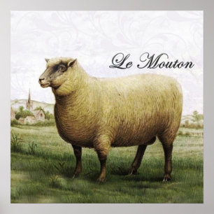Sheep Poster