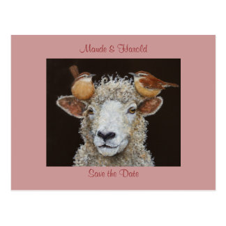 Sheep dating