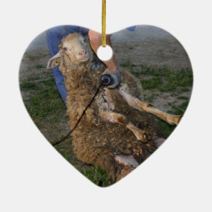 Sheep Shearing Ceramic Tree Decoration