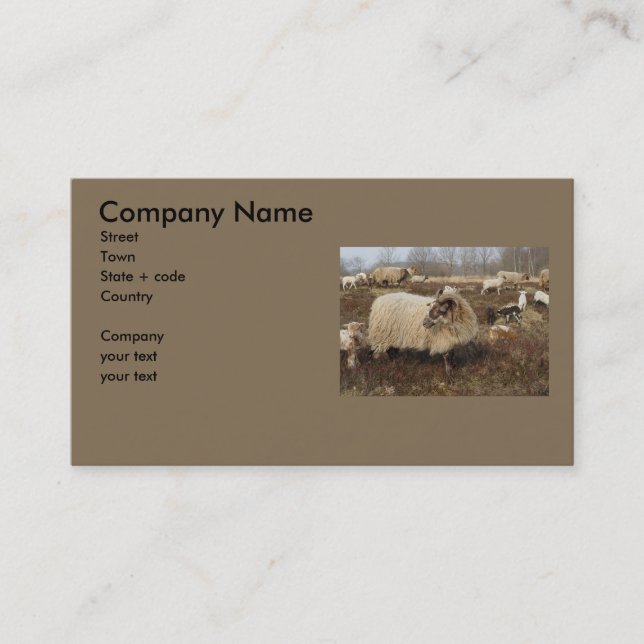 Sheep - Sheep in Heather field Business Card (Front)