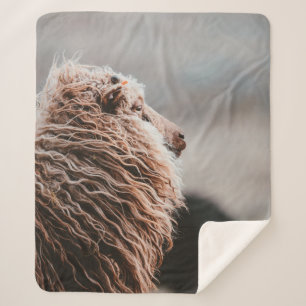 SHEEP SHERPA BLANKET