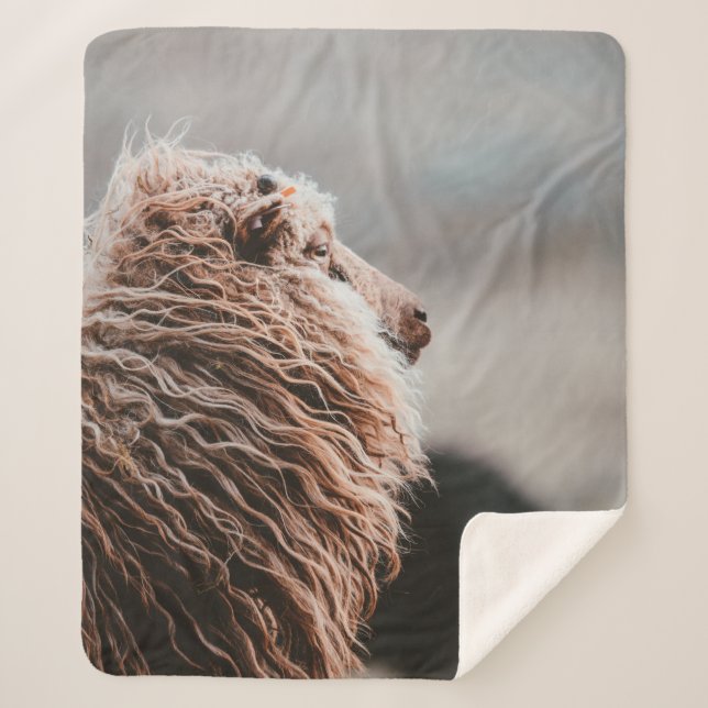 SHEEP SHERPA BLANKET (Front)