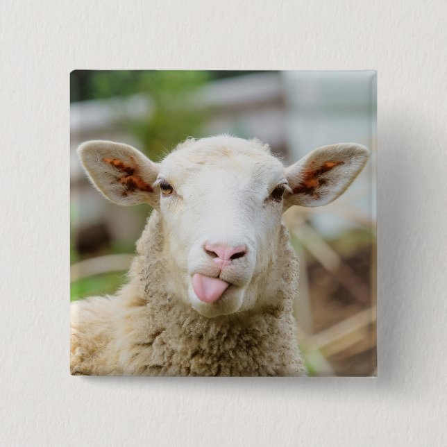 Sheep show tongue 15 cm square badge (Front)