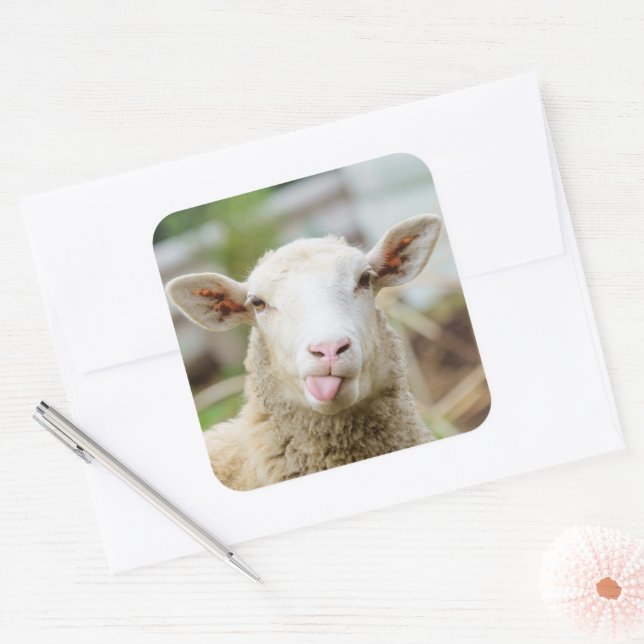 Sheep show tongue square sticker (Envelope)