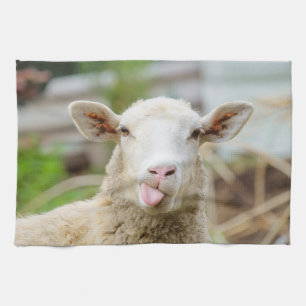 Sheep show tongue tea towel