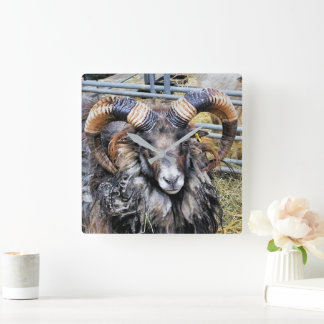 SHEEP SQUARE WALL CLOCK