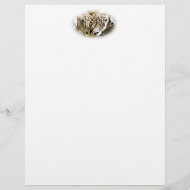 SHEEP stationery (Front)