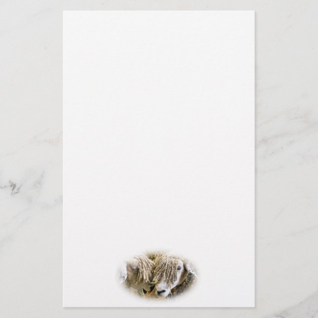 SHEEP STATIONERY (Front)