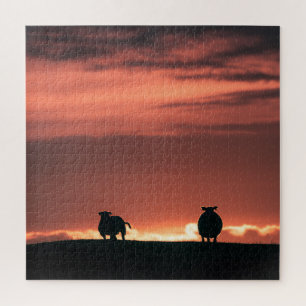 Sheep Sunset Nature Photo Jigsaw Puzzle