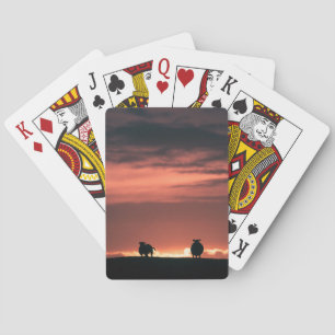 Sheep Sunset Nature Photo Playing Cards