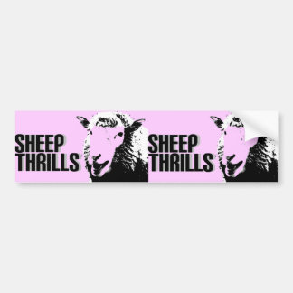 sheep thrills double bumper sticker