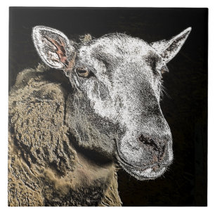 SHEEP TILE