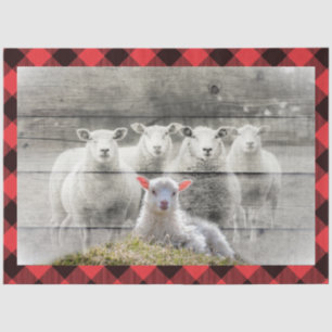 Sheep Tissue Paper
