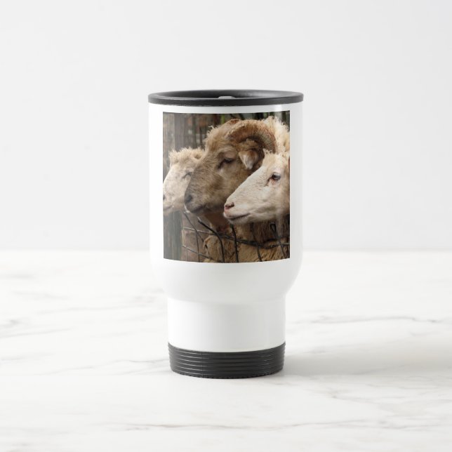 sheep travel mug (Center)