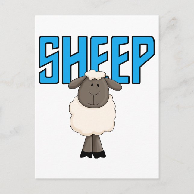 Sheep Tshirts and Gifts Postcard (Front)
