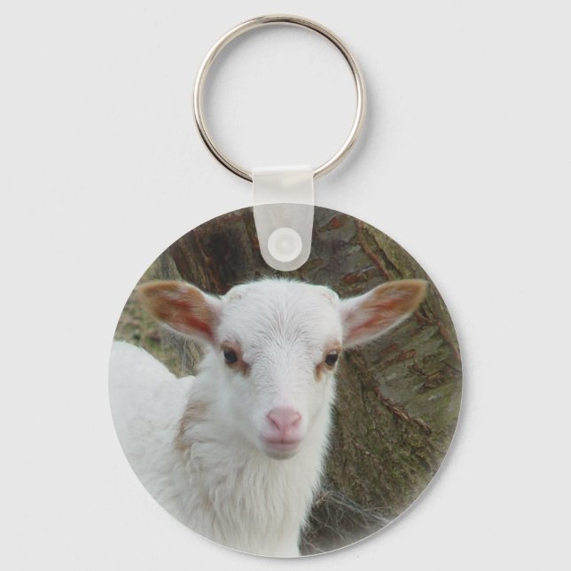 Sheep - White Lamb Key Ring (Front)