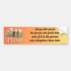 sheep will vote for... bumper sticker