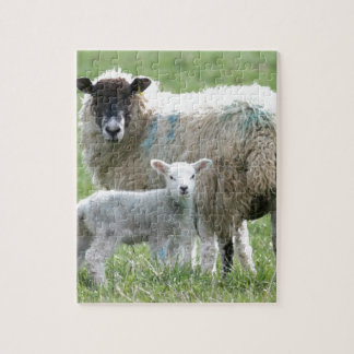 Sheep with her lamb jigsaw puzzle