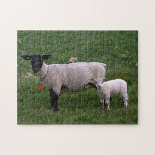 Sheep with lamb jigsaw puzzle