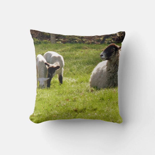 Sheep With Lambs Cushion (Front)