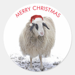 SHEEP WITH Santa hat CUSTOMIZABLE STICKERS