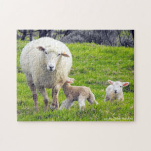 Sheep With Twin Lambs Jigsaw Puzzle