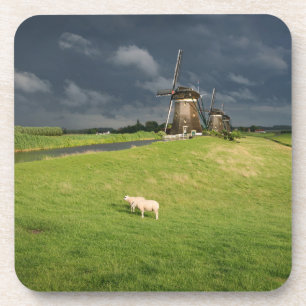 Sheep with windmills under dark clouds coaster