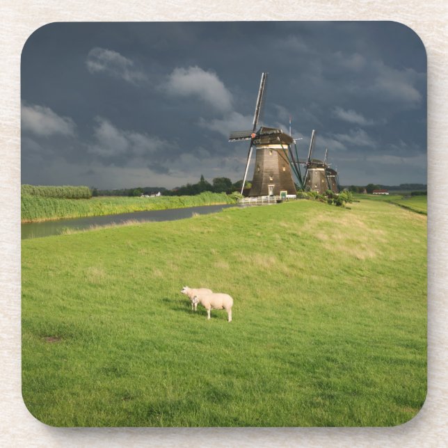Sheep with windmills under dark clouds coaster (Front)