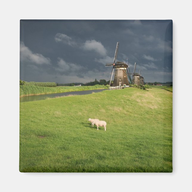 Sheep with windmills under dark clouds magnet (Front)