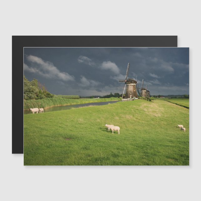 Sheep with windmills under dark clouds magnetic invitation (Front/Back)