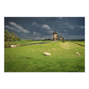 Sheep with windmills under dark clouds photo print