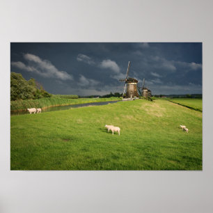 Sheep with windmills under dark clouds poster