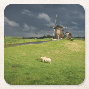 Sheep with windmills under dark clouds square paper coaster